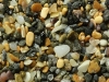 Mixture of biogenic and volcanic grains, Jungmun Beach, Jeju-do island, South Korea