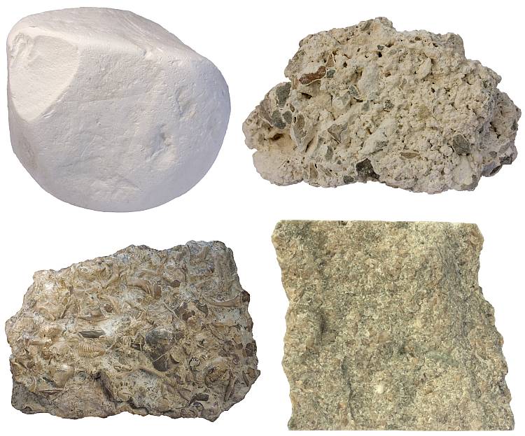 Limestone - Sedimentary rocks