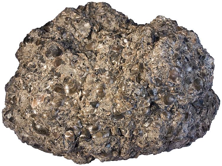 What is an an igneous rock that contains vesicles?