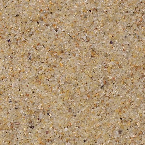 Sand sample from the Botany Bay, Sydney, Australia.