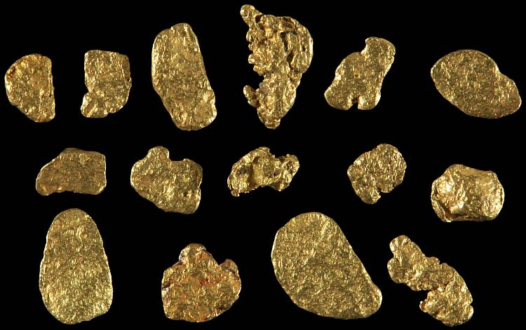Gold nuggets from river sediments