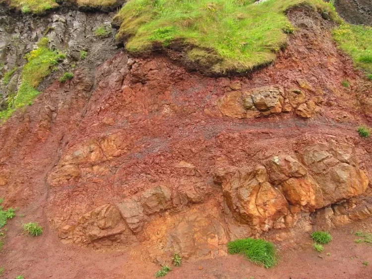 Outcrop of laterite in Northern Ireland near Giant's Causeway.