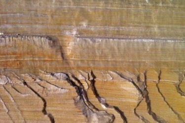 Gypsum