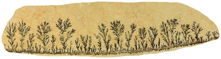 Dendritic growth in minerals
