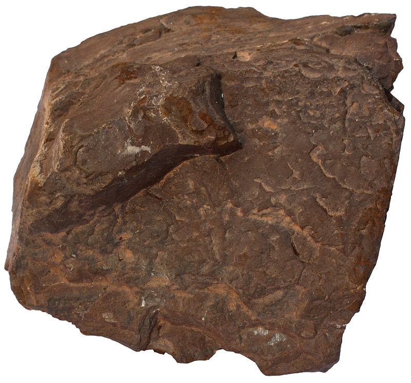 Umber