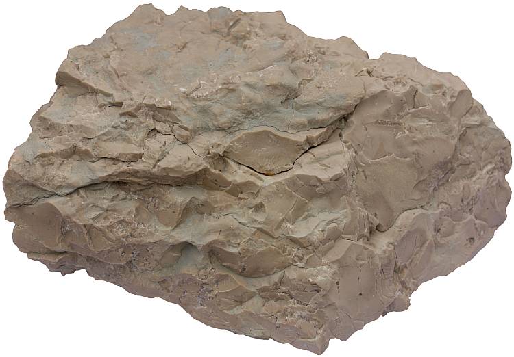 Chert nodule