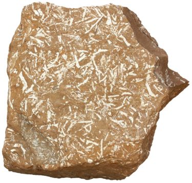 Oil shale
