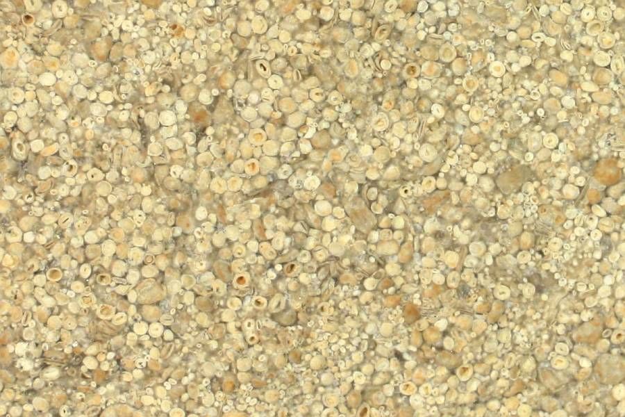 Oolite