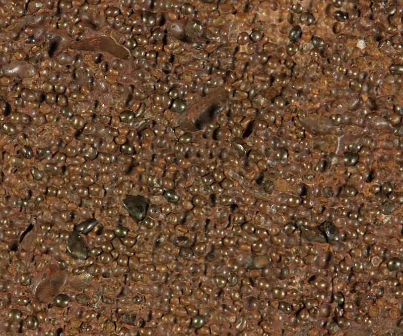 Goethitic oolite