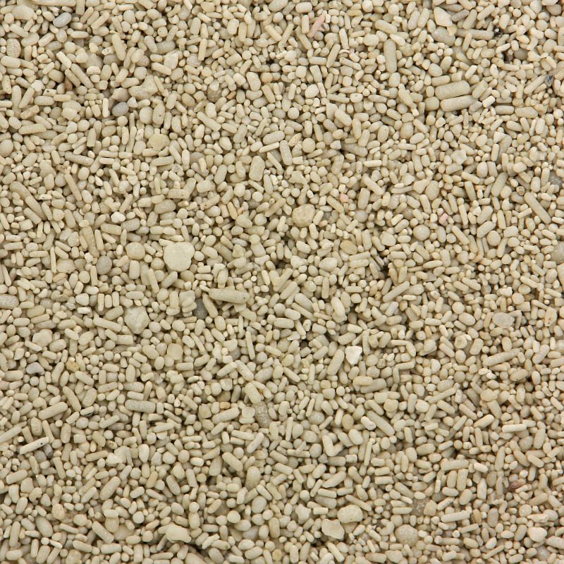 Ooid sand from Stansbury Island