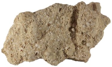 Coquina