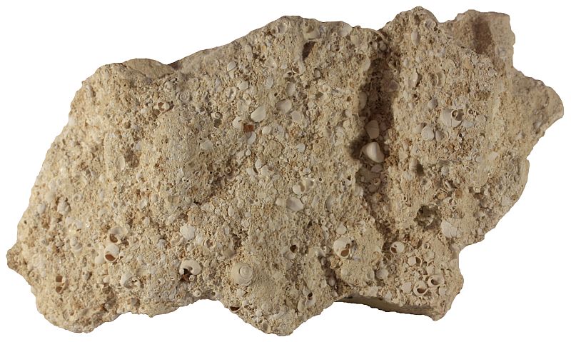 Coquina