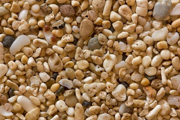 Coral sand