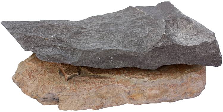 turbidite sample