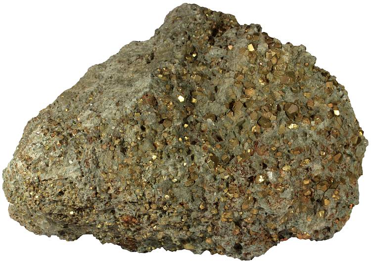 Mudstone with pyrite