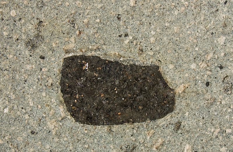 Pyroxenite xenolith in trachyte