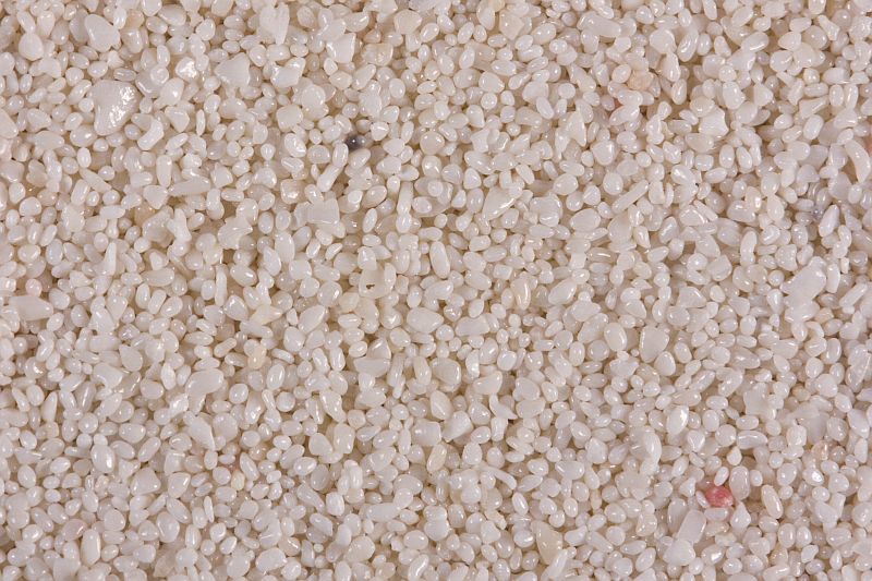 Ooid sand from Cancún, Mexico. Field of view: 12 mm.