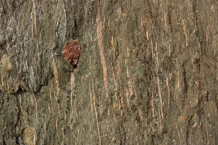 Ignimbrite