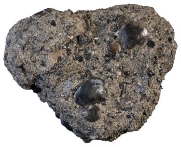 Phosphorite