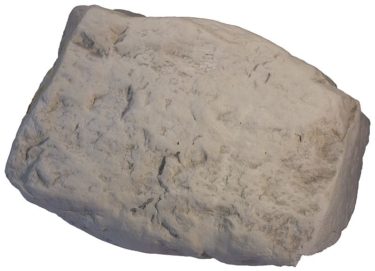 Diatomite