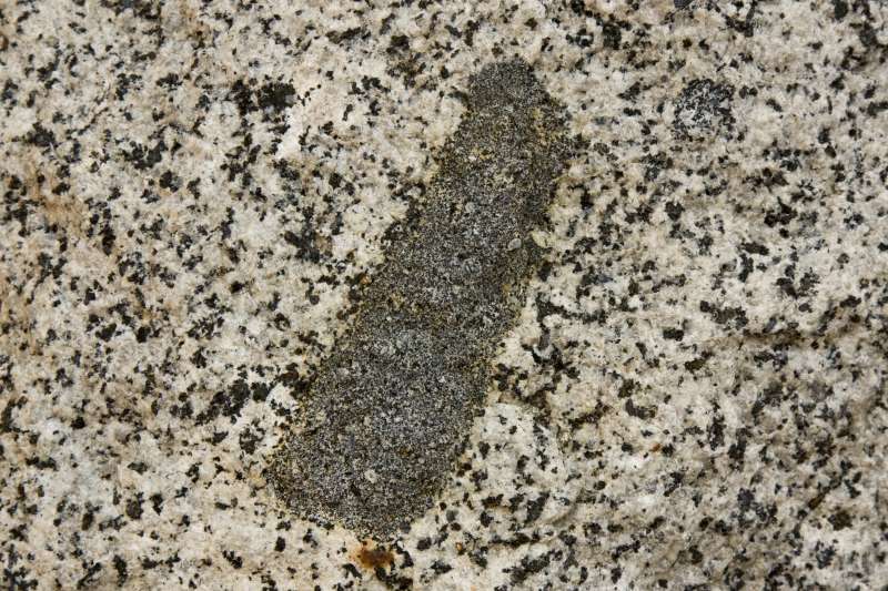 Inclusion de diorite dans la roche hôte granodioritique du batholite de la Sierra Nevada.