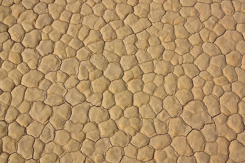 Mud cracks of the Racetrack Playa