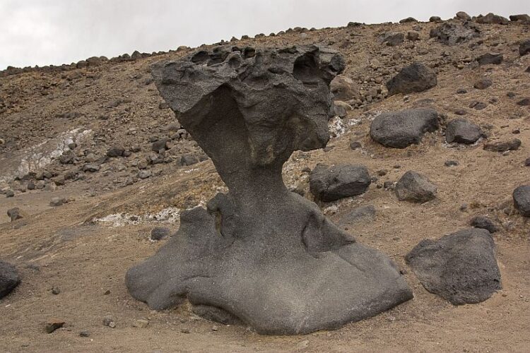 Mushroom rock