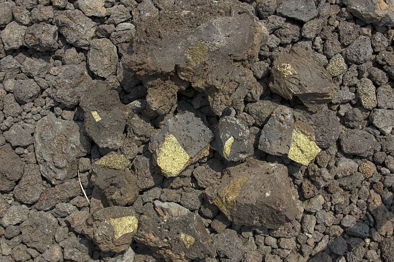 Collection of xenoliths