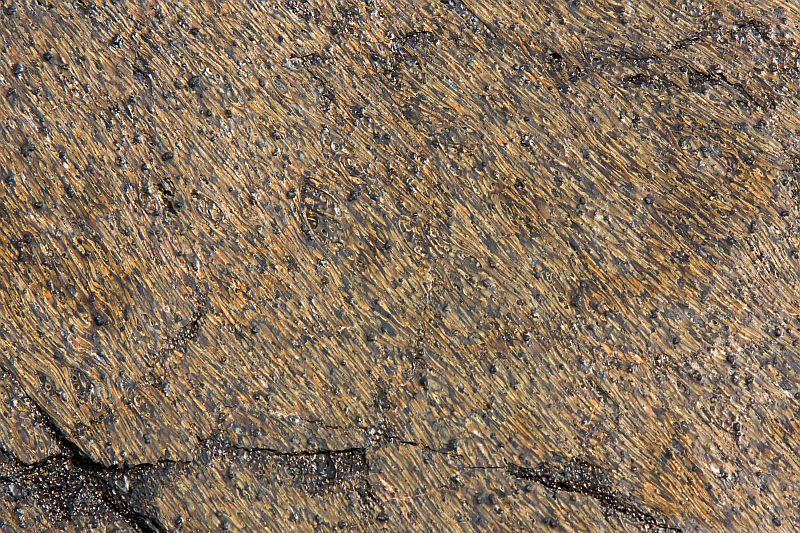 Pele's hair