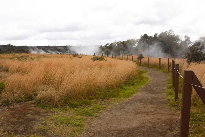 Vulkanisches Gas, Halemaumau-Krater