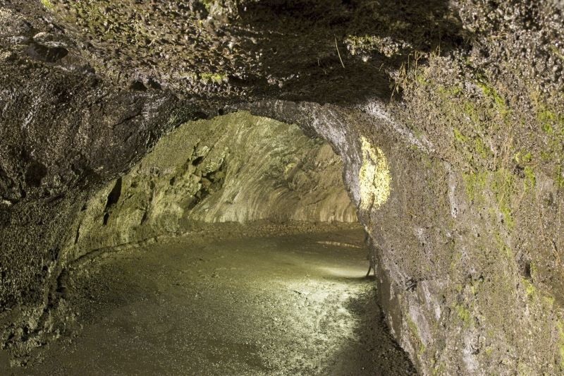 Thurston lava tunnel in Hawaii