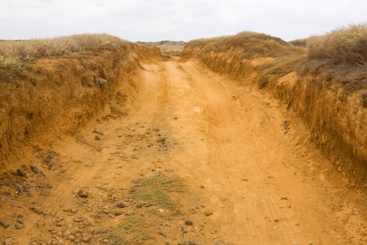 Green sand beach road