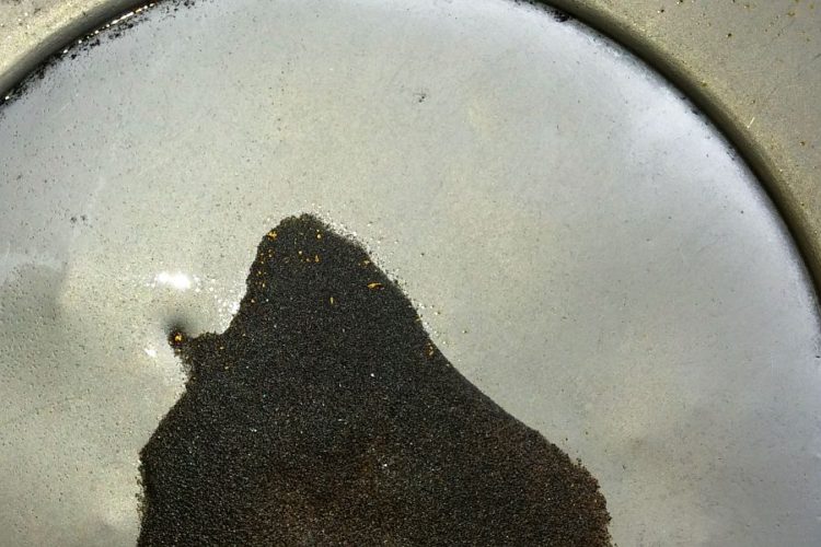 Gold and other heavy minerals in a gold pan