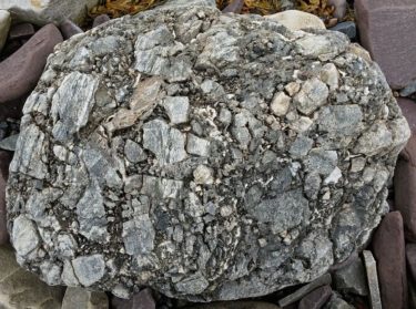 Breccia