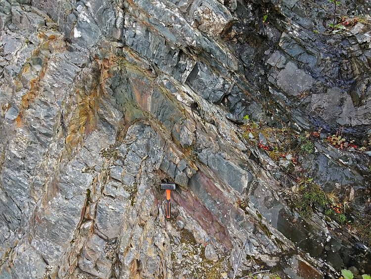 Folded shale outcrop