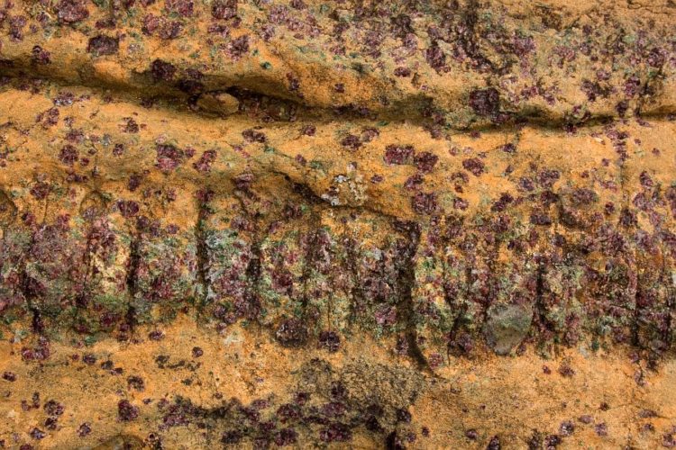 Peridotite
