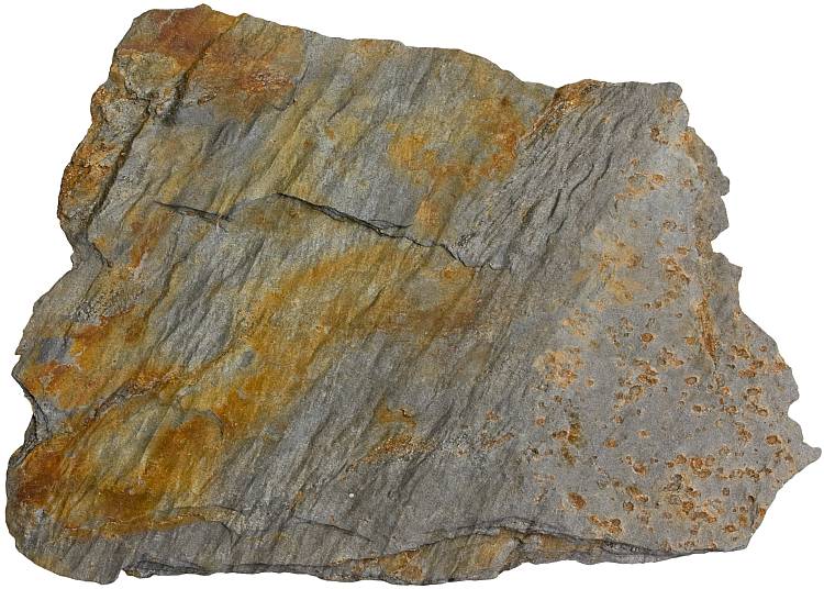 Phyllite rock sample