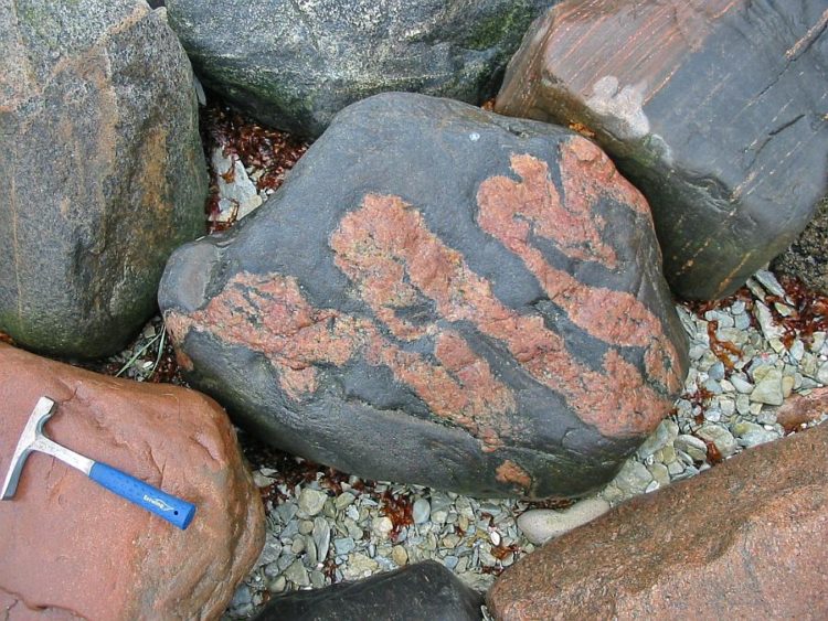Migmatite