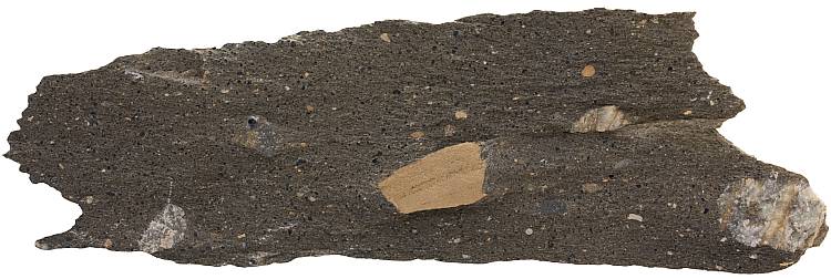 Tillite rock sample