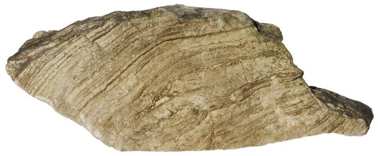 Stromatolite