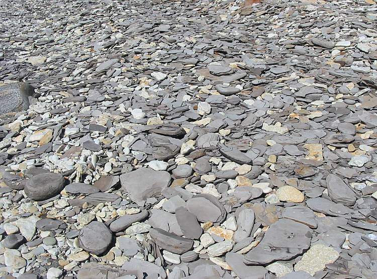 Shale pebbles