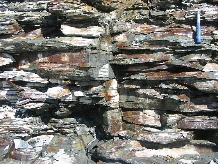 An outcrop of black shale