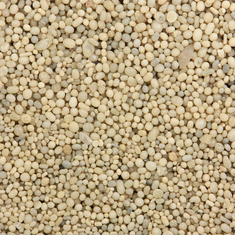 Ooid sand from Antelope Island