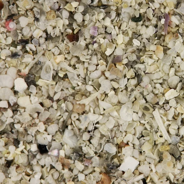 Biogenic sand maerls