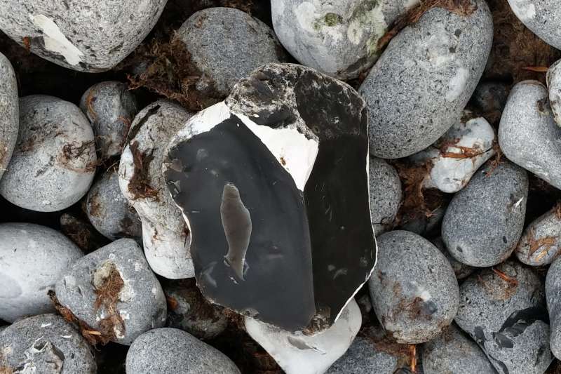 Chert (flint) on the coast at Stevns Klint in Denmark.