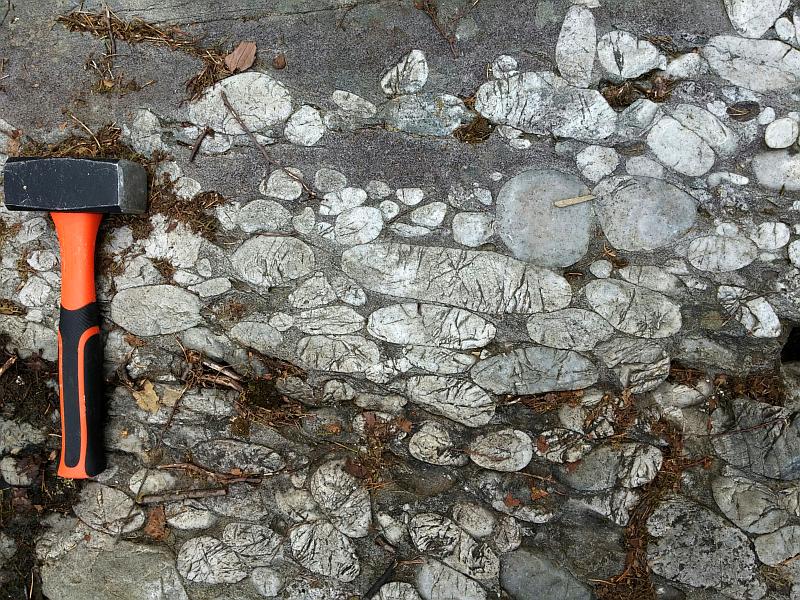 Quartzite conglomerate