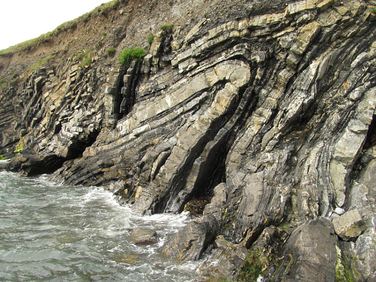 Loughshinny folds