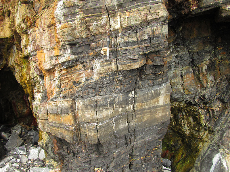 Loughshinny turbidite