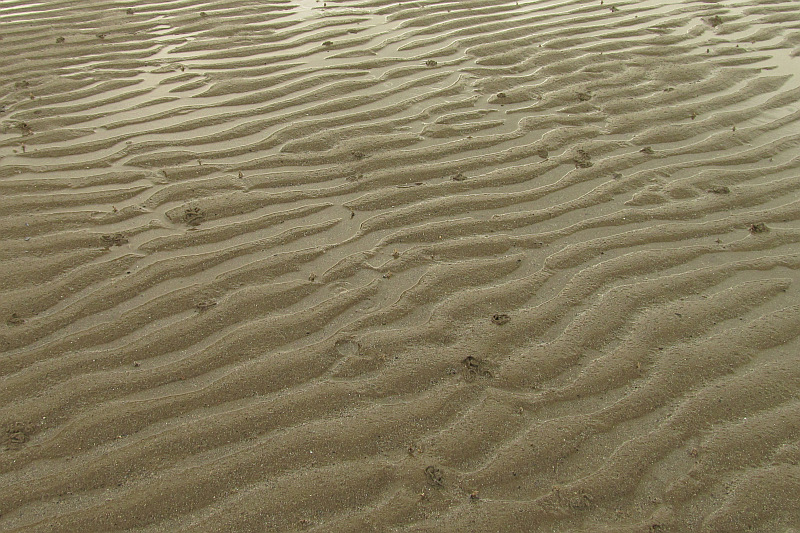 Wave ripples