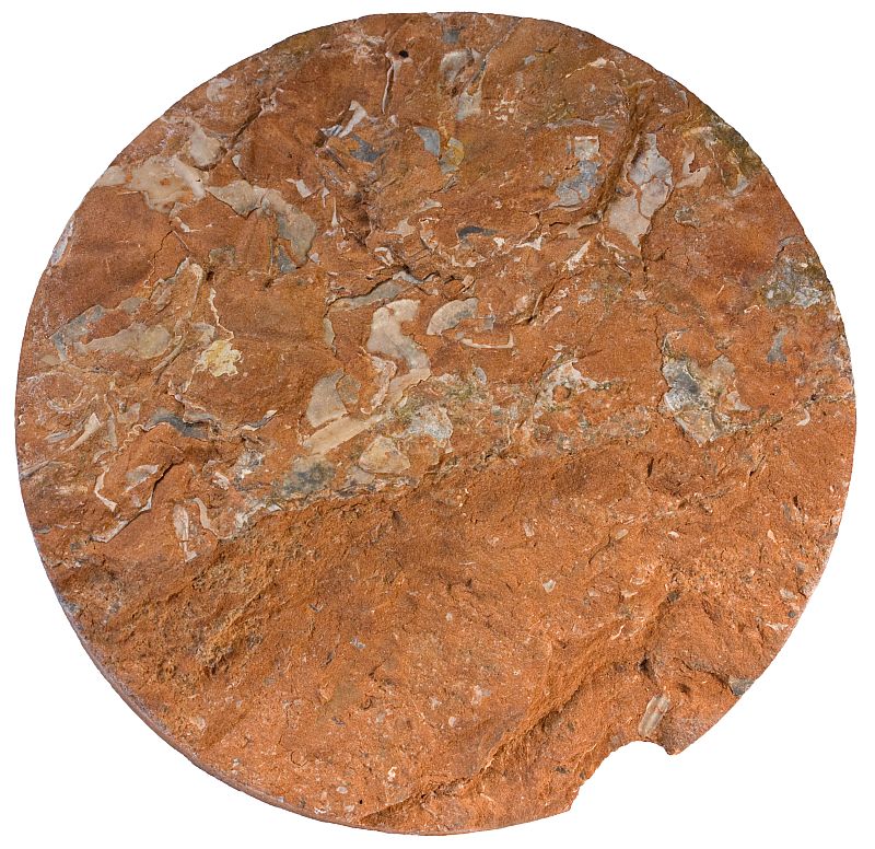 Oil shale drill core